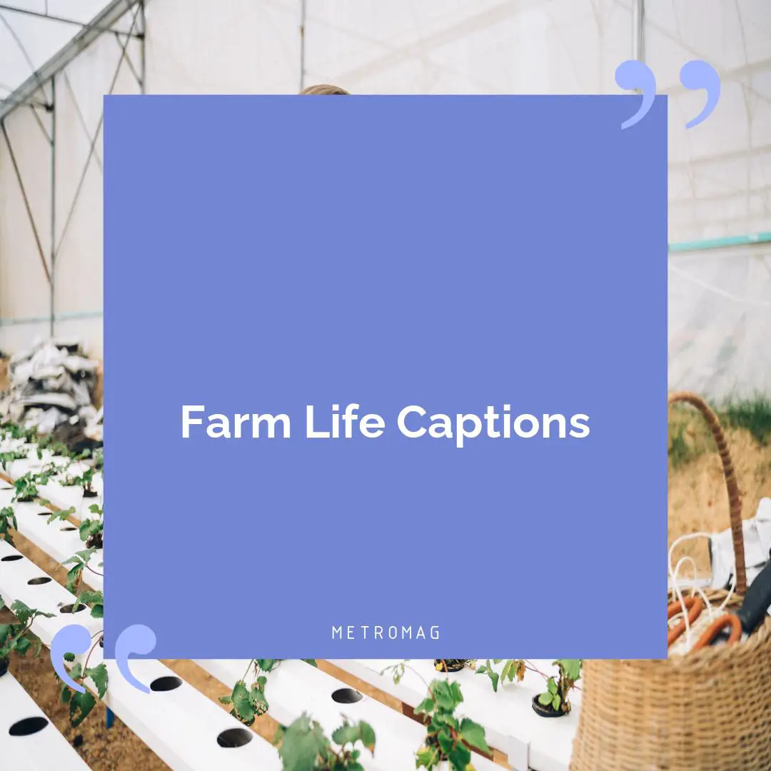 Farm Life Captions