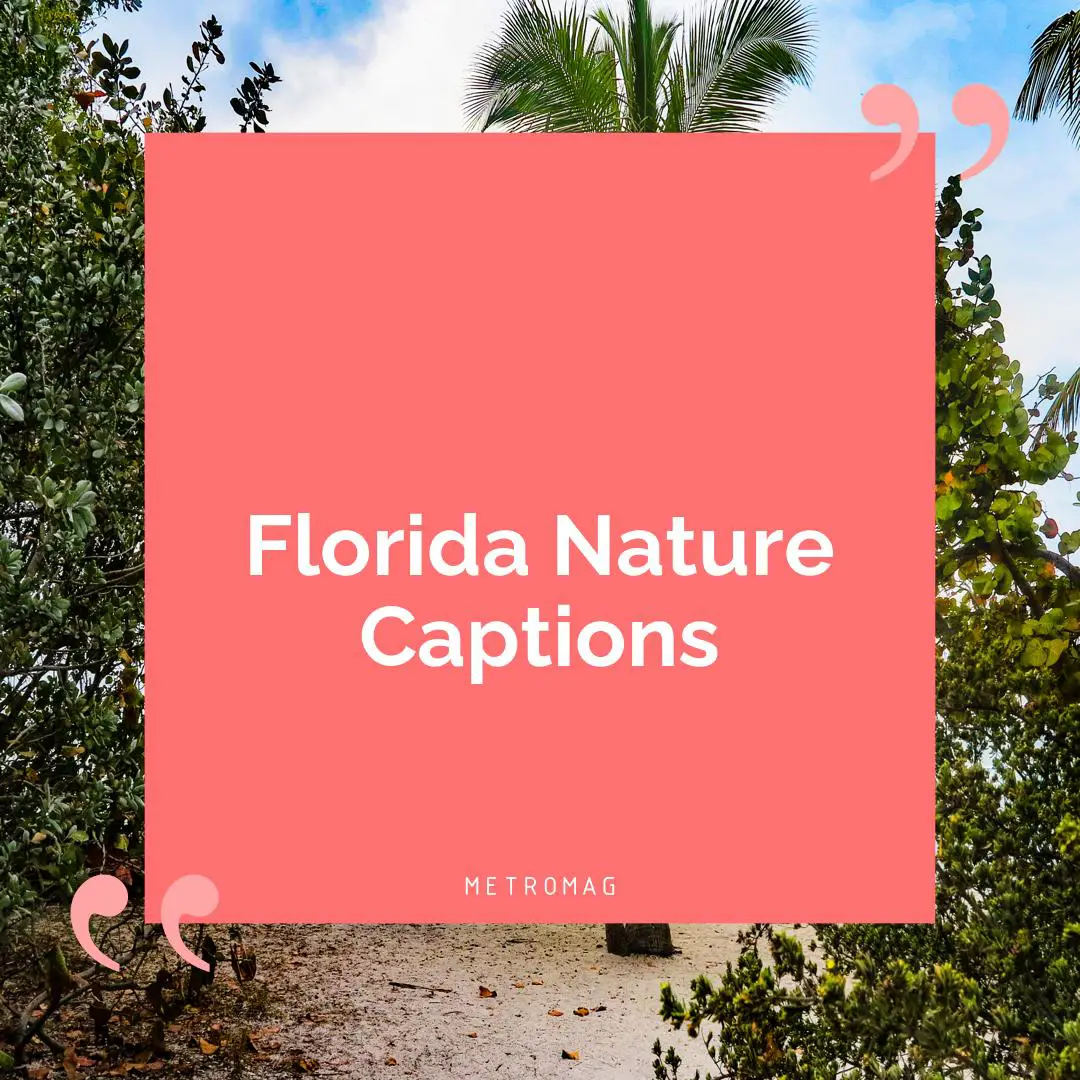 Florida Nature Captions