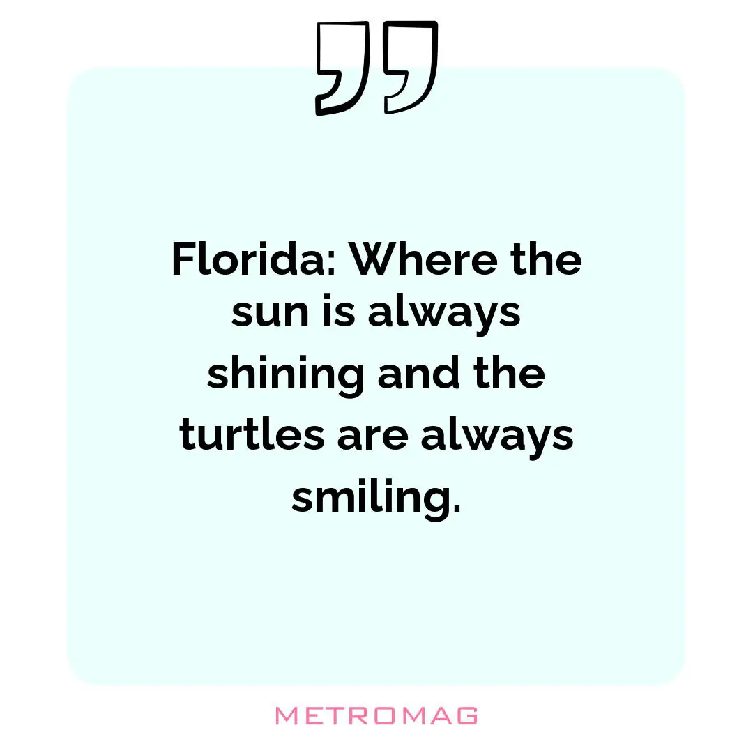 Florida: Where the sun is always shining and the turtles are always smiling.