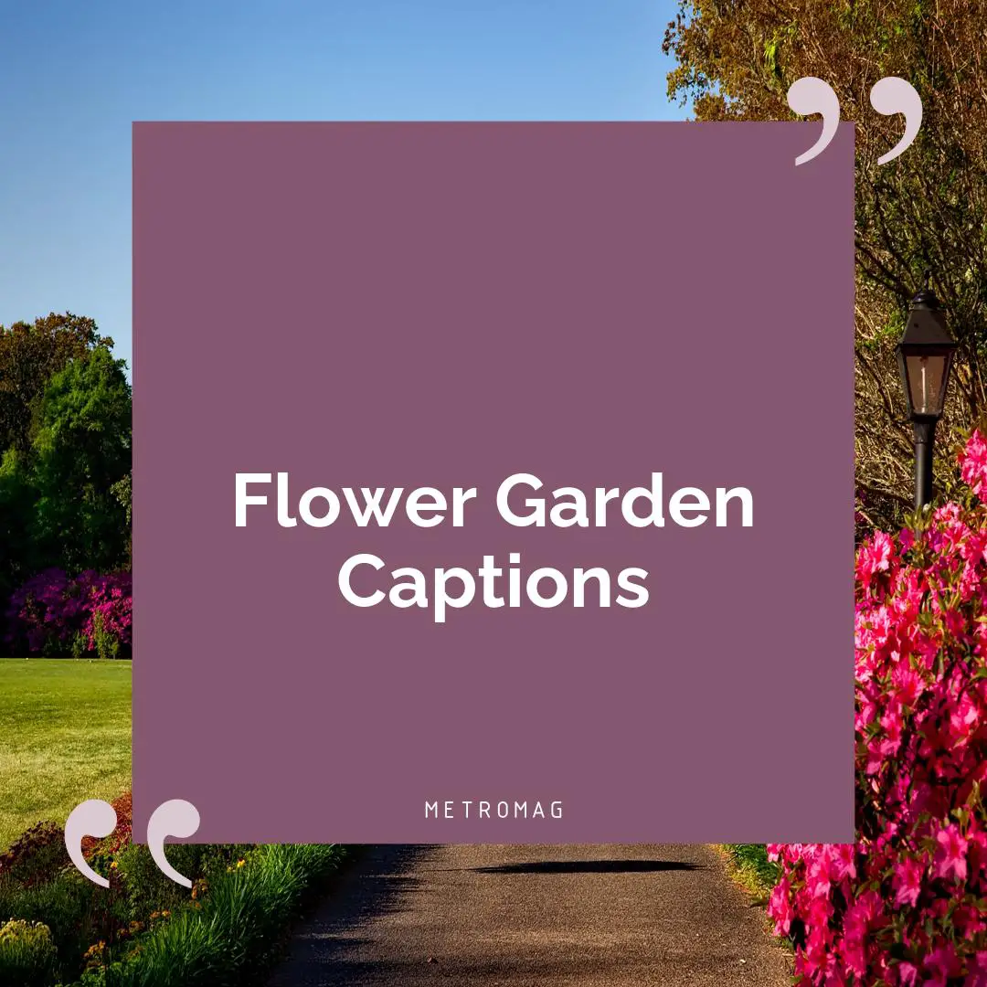 Flower Garden Captions