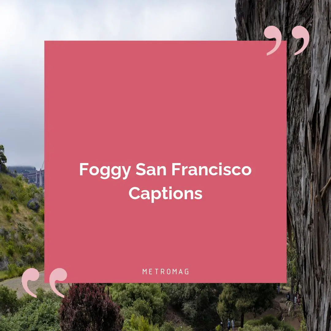 Foggy San Francisco Captions