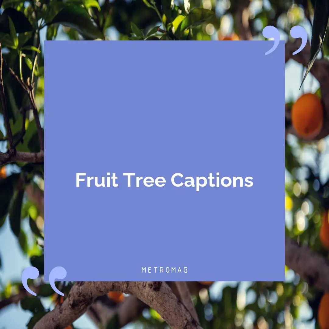 Fruit Tree Captions