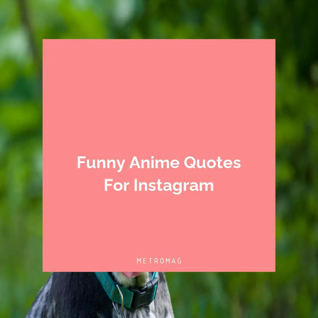 Funny Anime Quotes For Instagram
