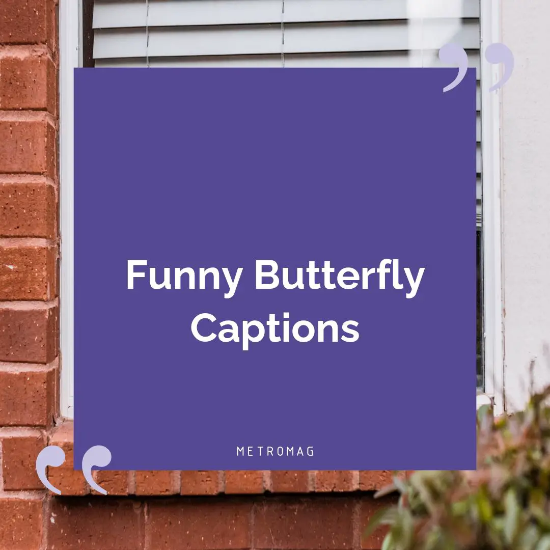 Funny Butterfly Captions