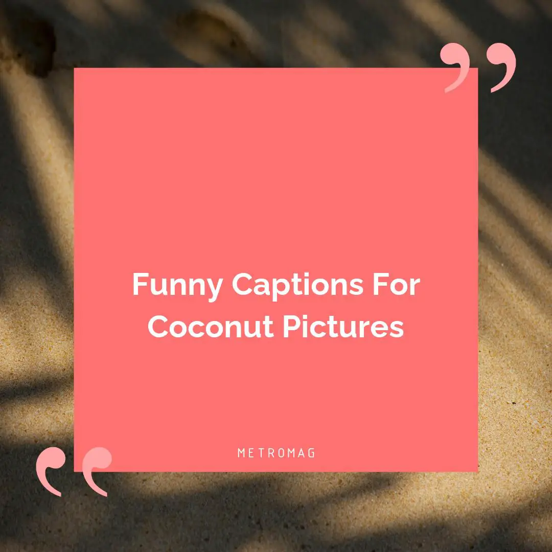 Funny Captions For Coconut Pictures