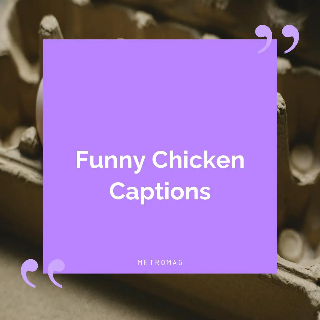 Funny Chicken Captions