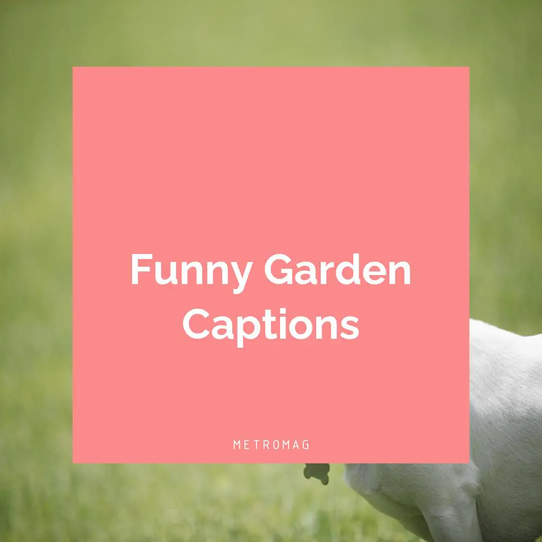 Funny Garden Captions