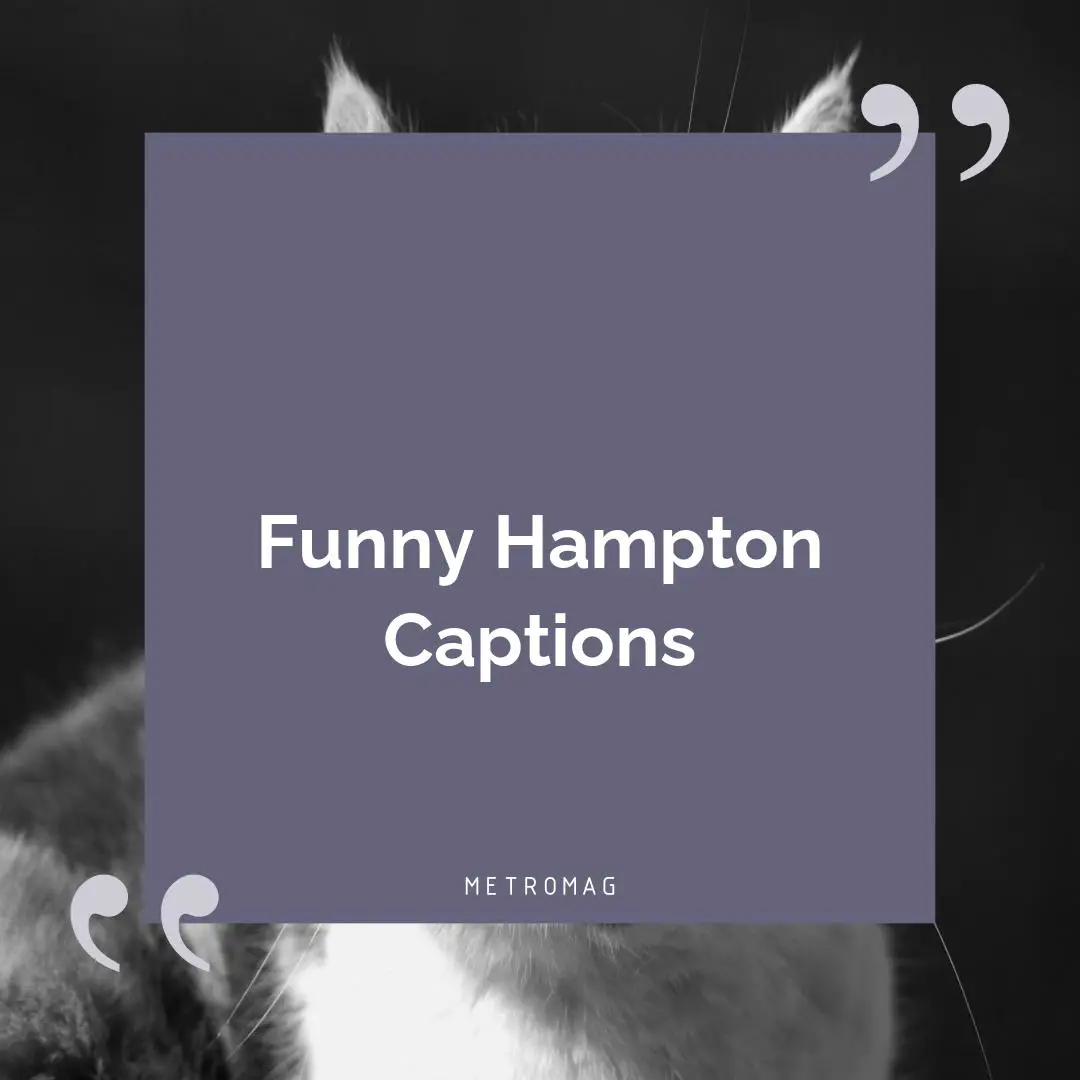 Funny Hampton Captions