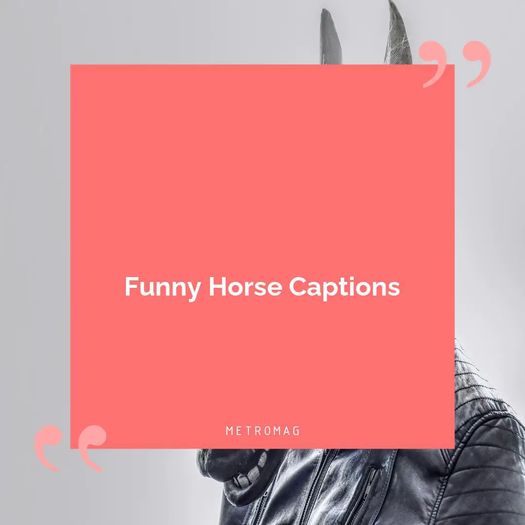 Funny Horse Captions