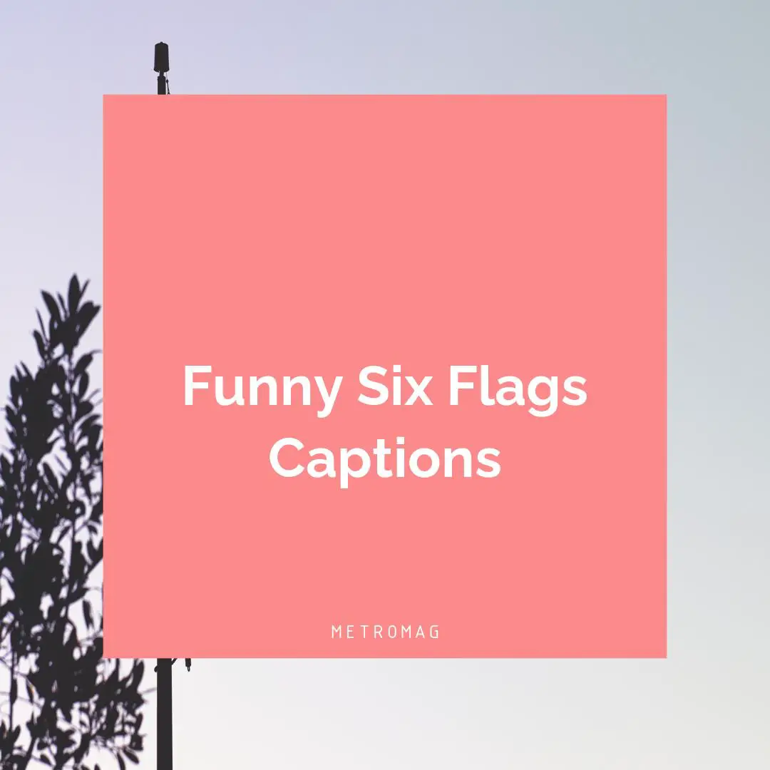 Funny Six Flags Captions