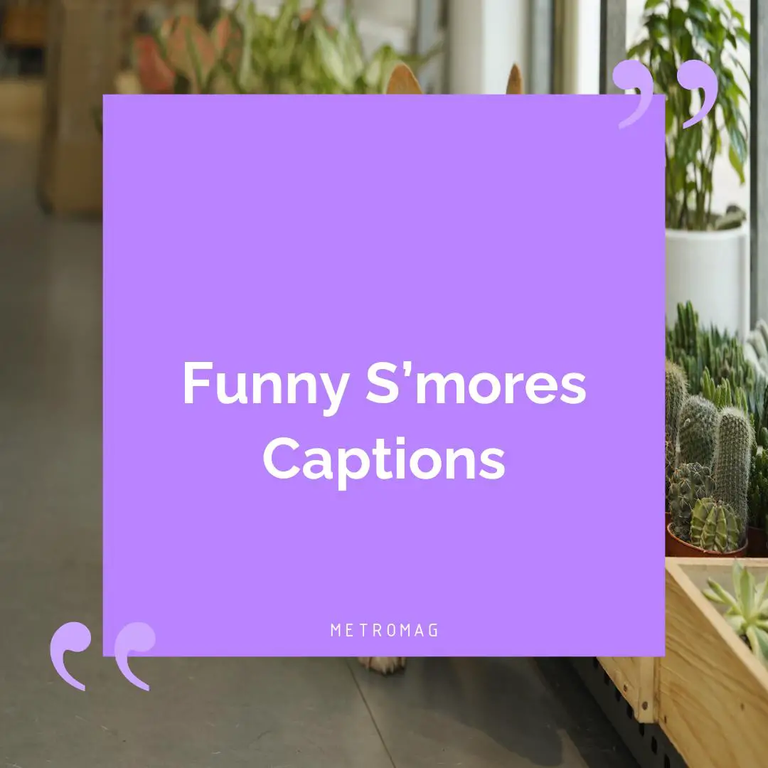 Funny S’mores Captions