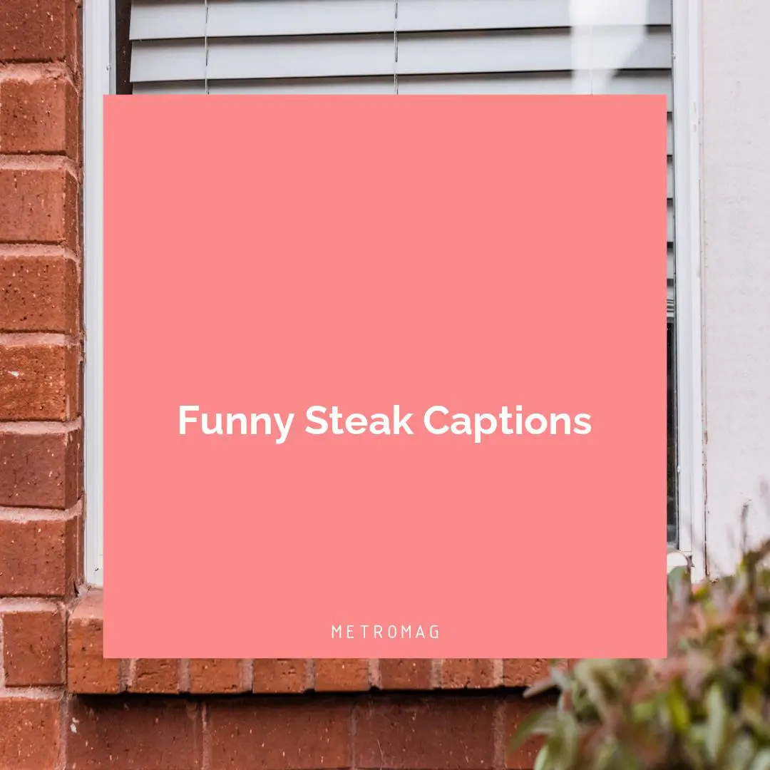 Funny Steak Captions