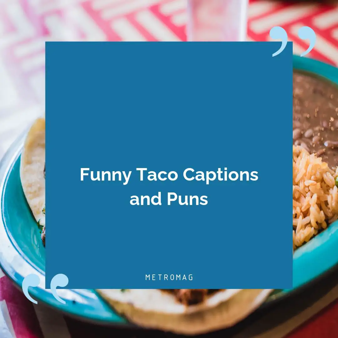 Funny Taco Captions and Puns