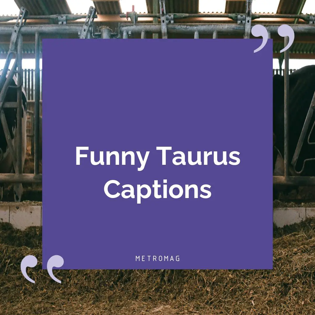 Funny Taurus Captions