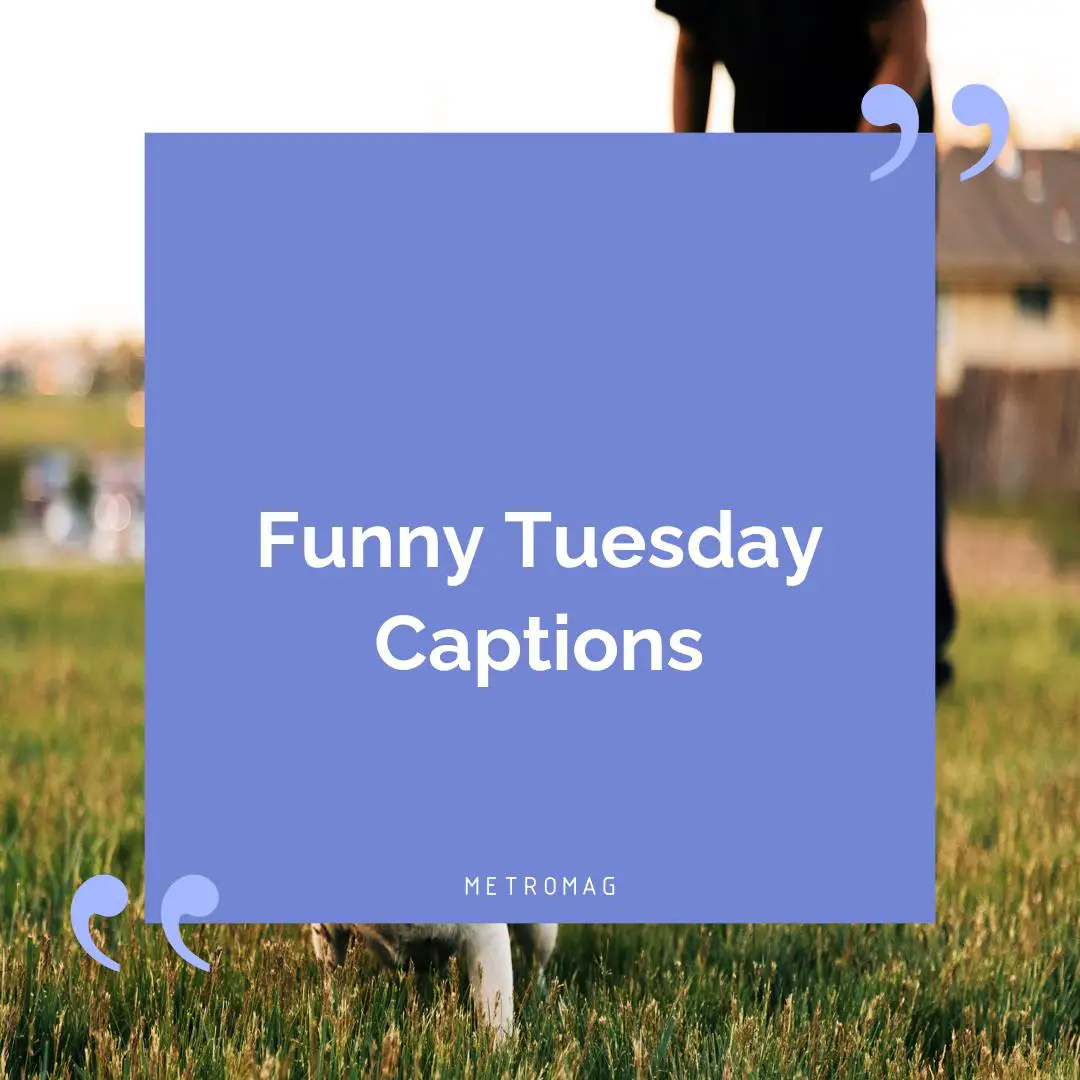 Funny Tuesday Captions