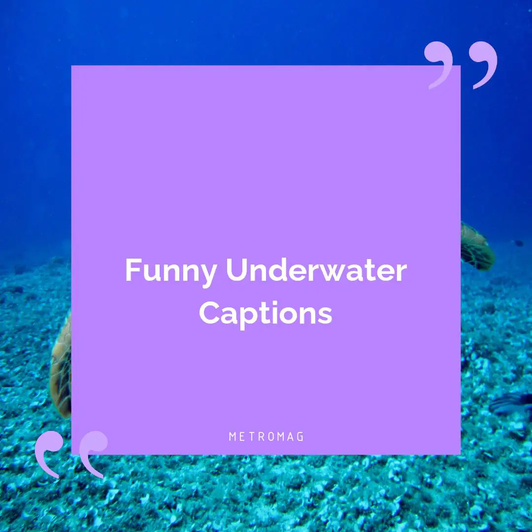 Funny Underwater Captions