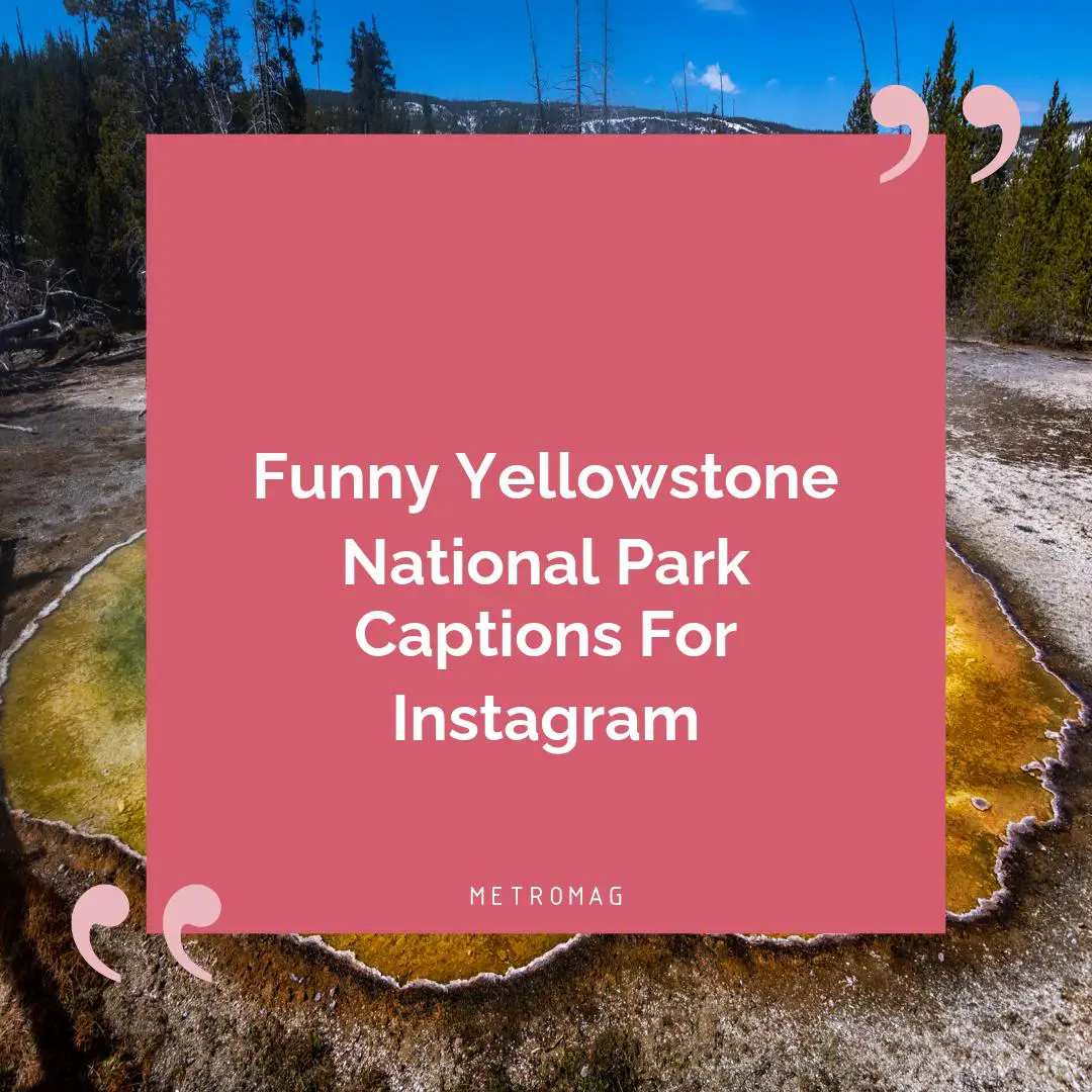 Funny Yellowstone National Park Captions For Instagram