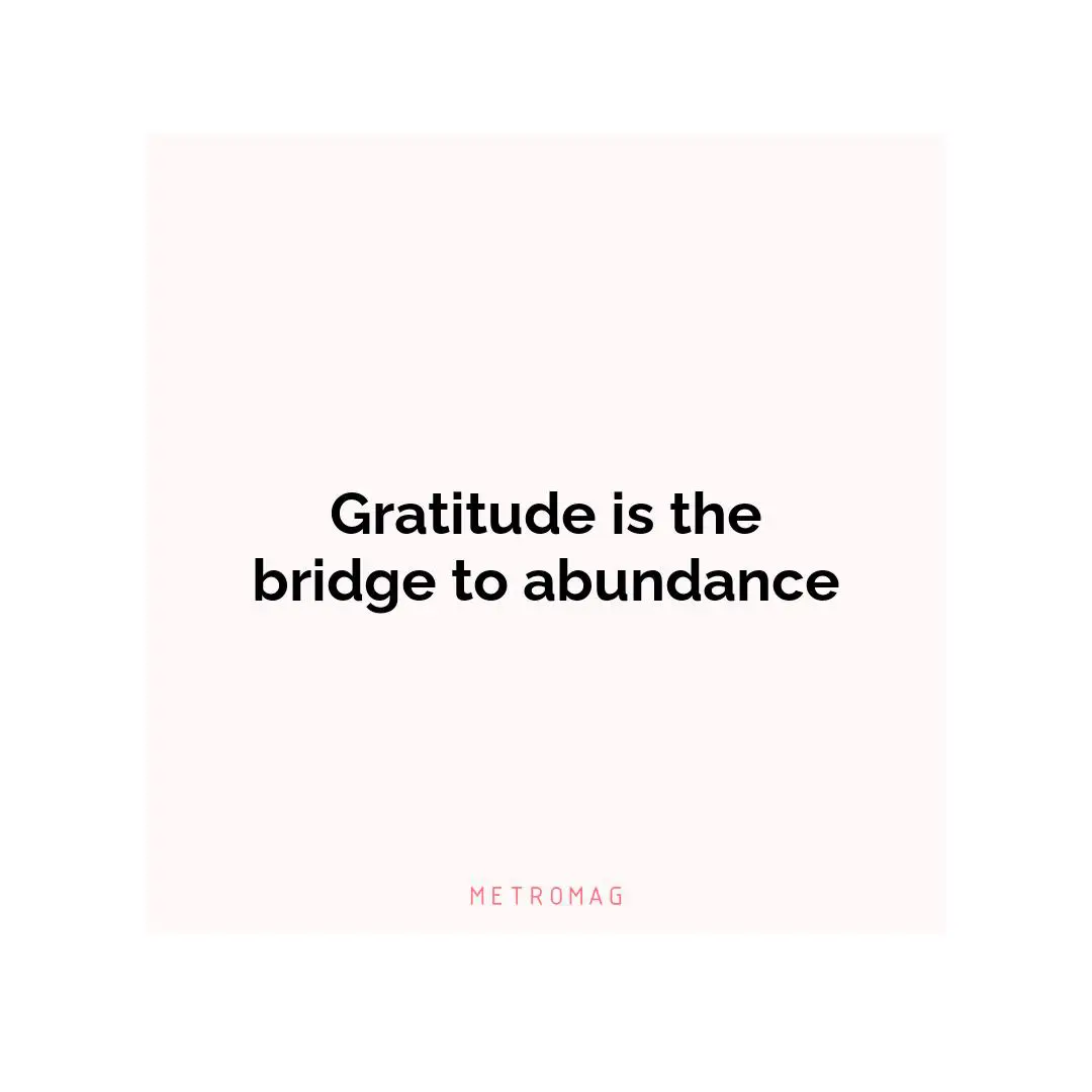 Gratitude is the bridge to abundance