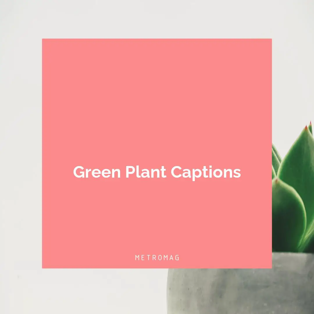 Green Plant Captions