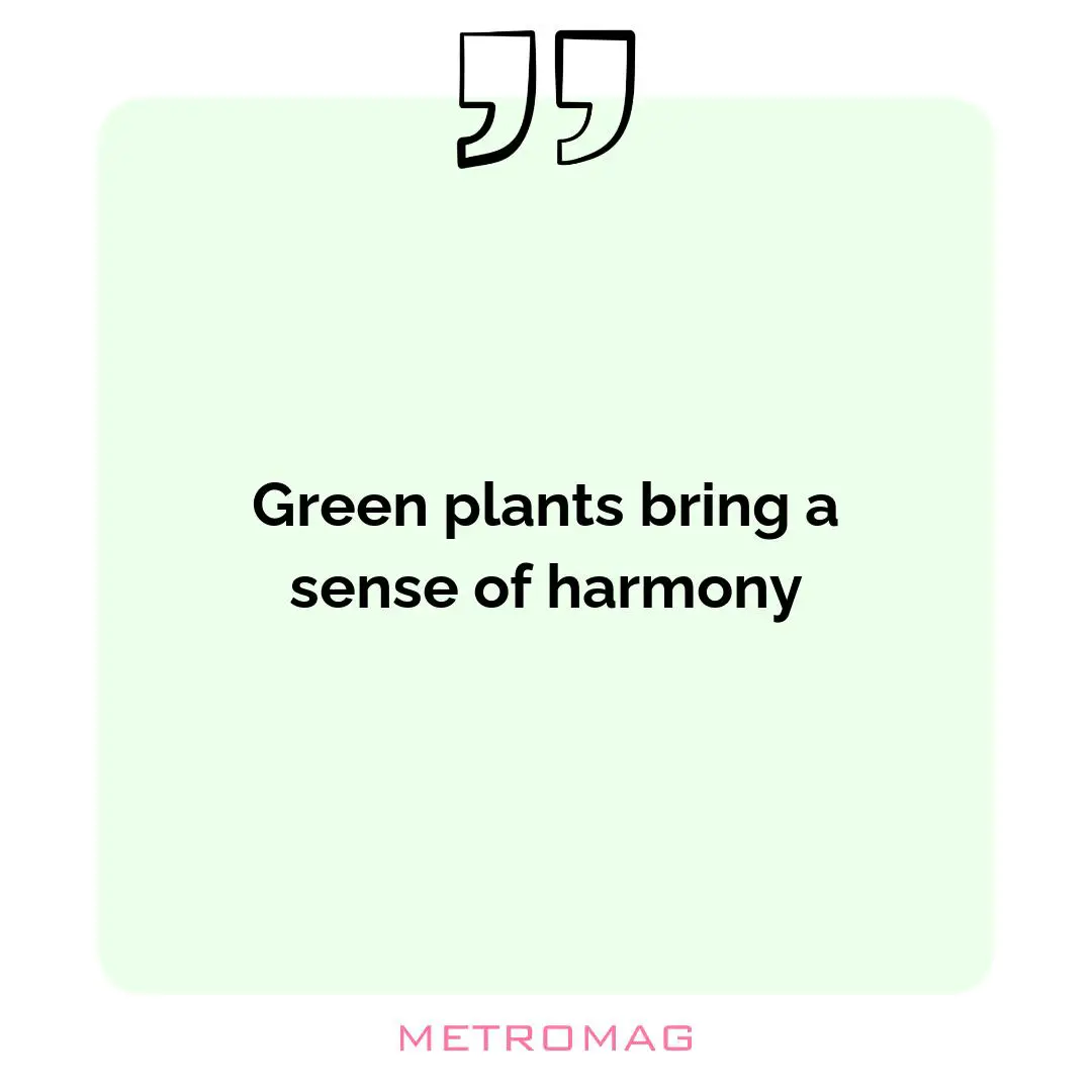 Green plants bring a sense of harmony
