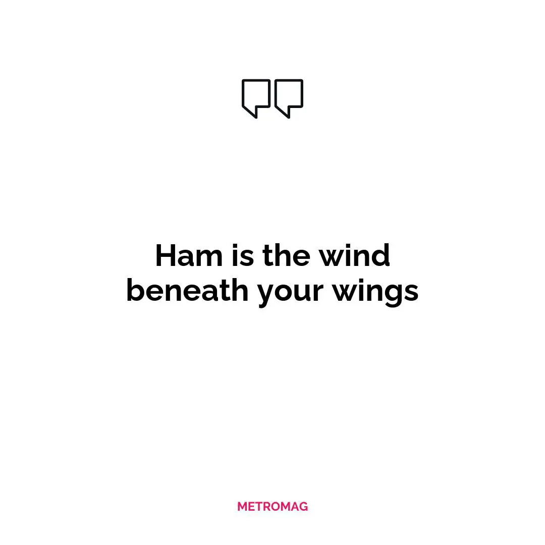 Ham is the wind beneath your wings