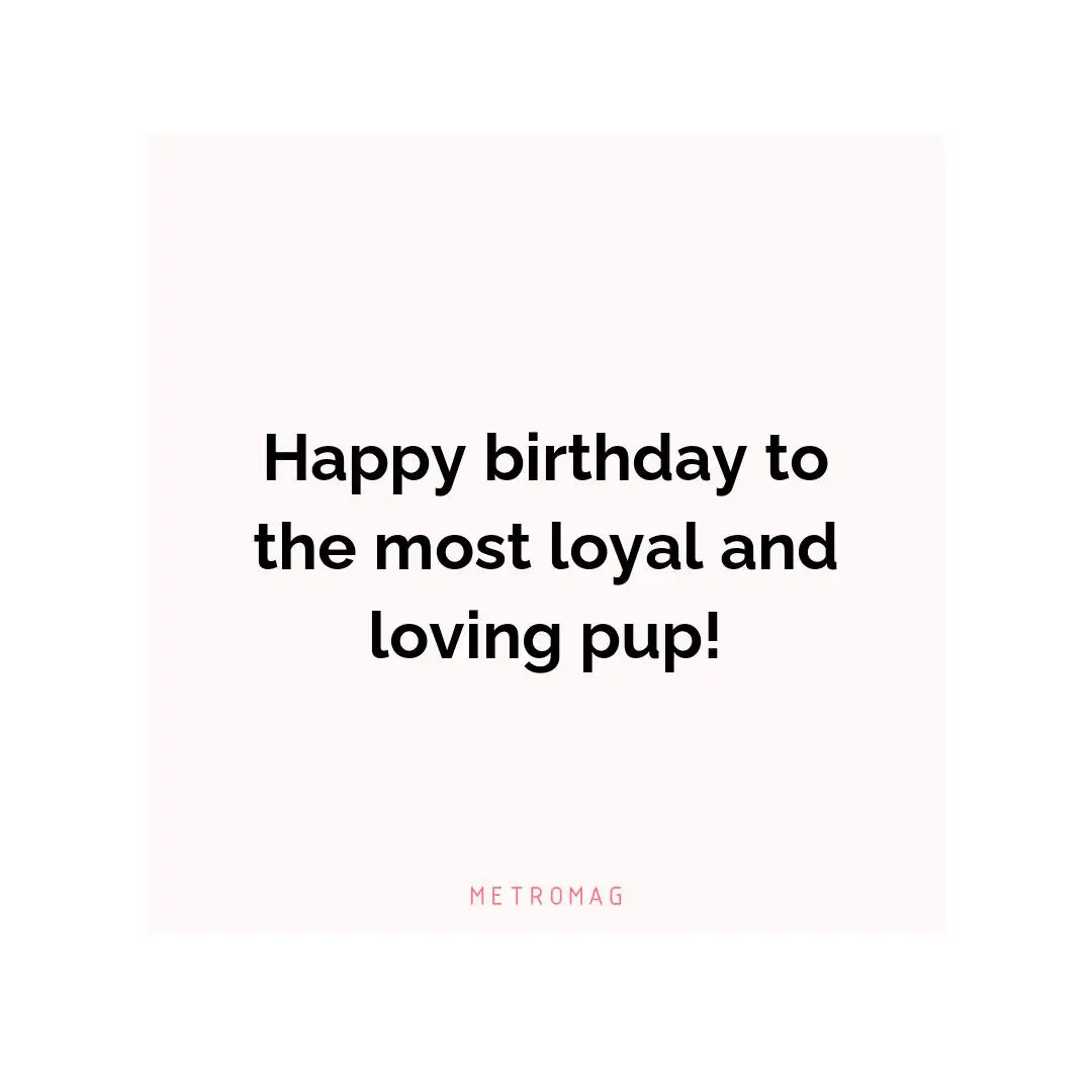 Happy birthday to the most loyal and loving pup!