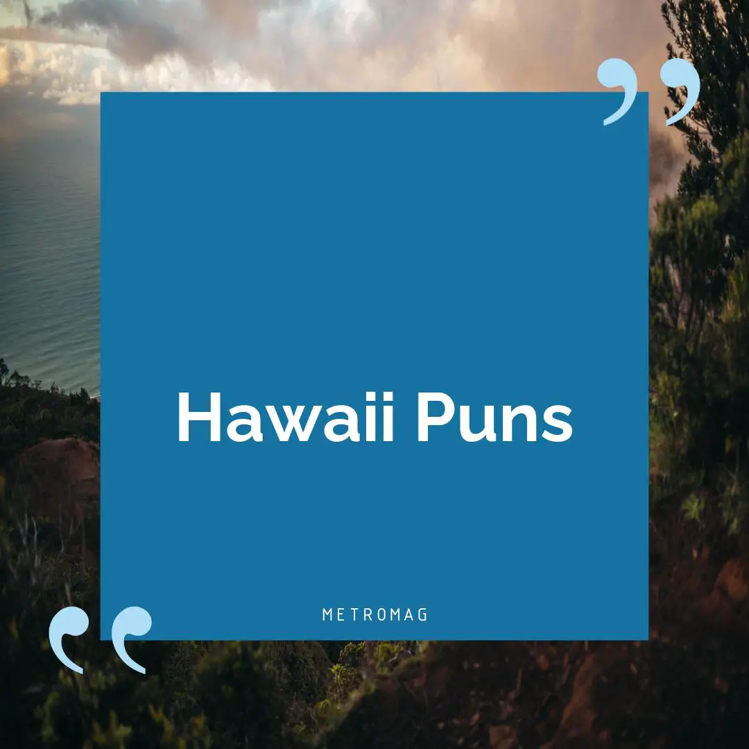Hawaii Puns