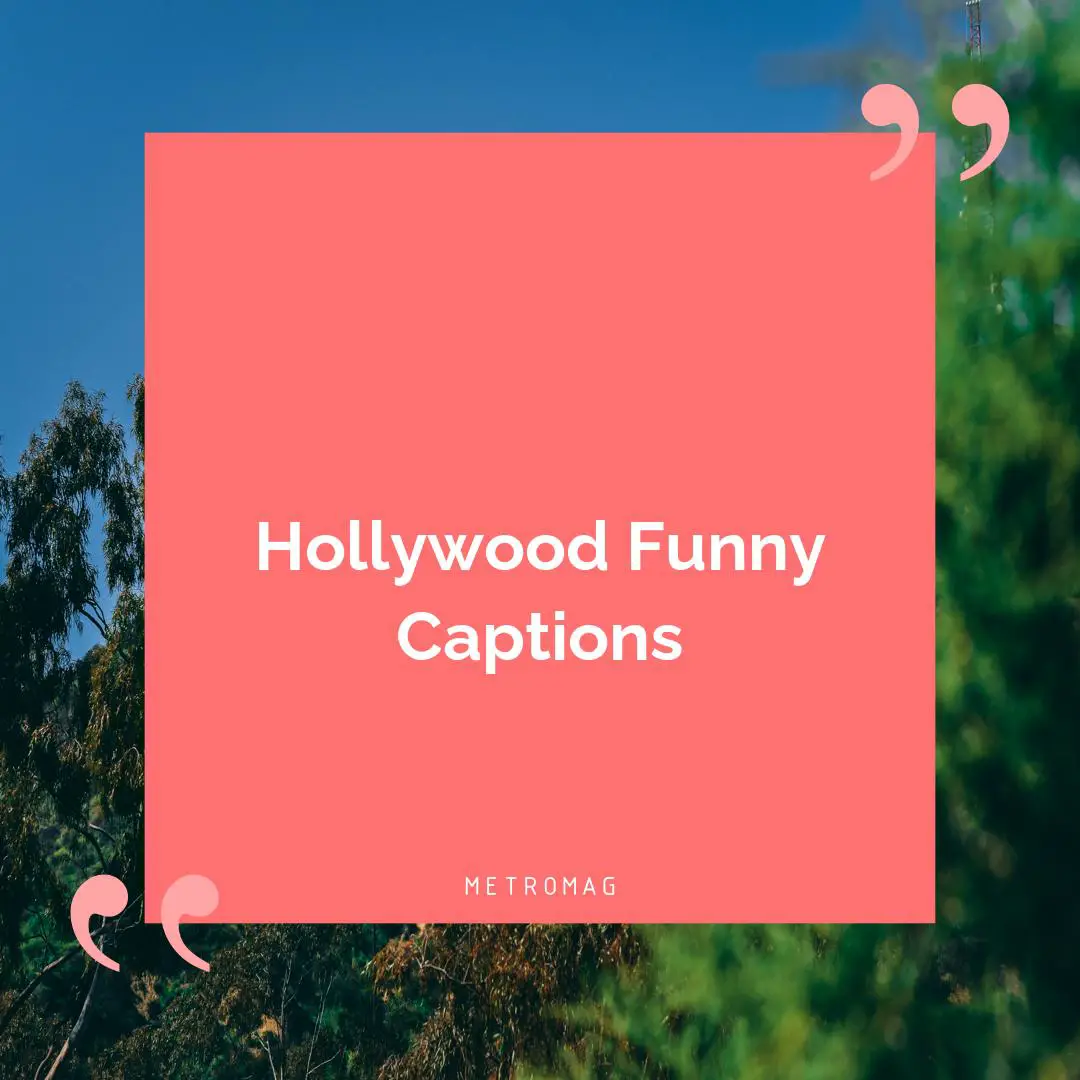 Hollywood Funny Captions