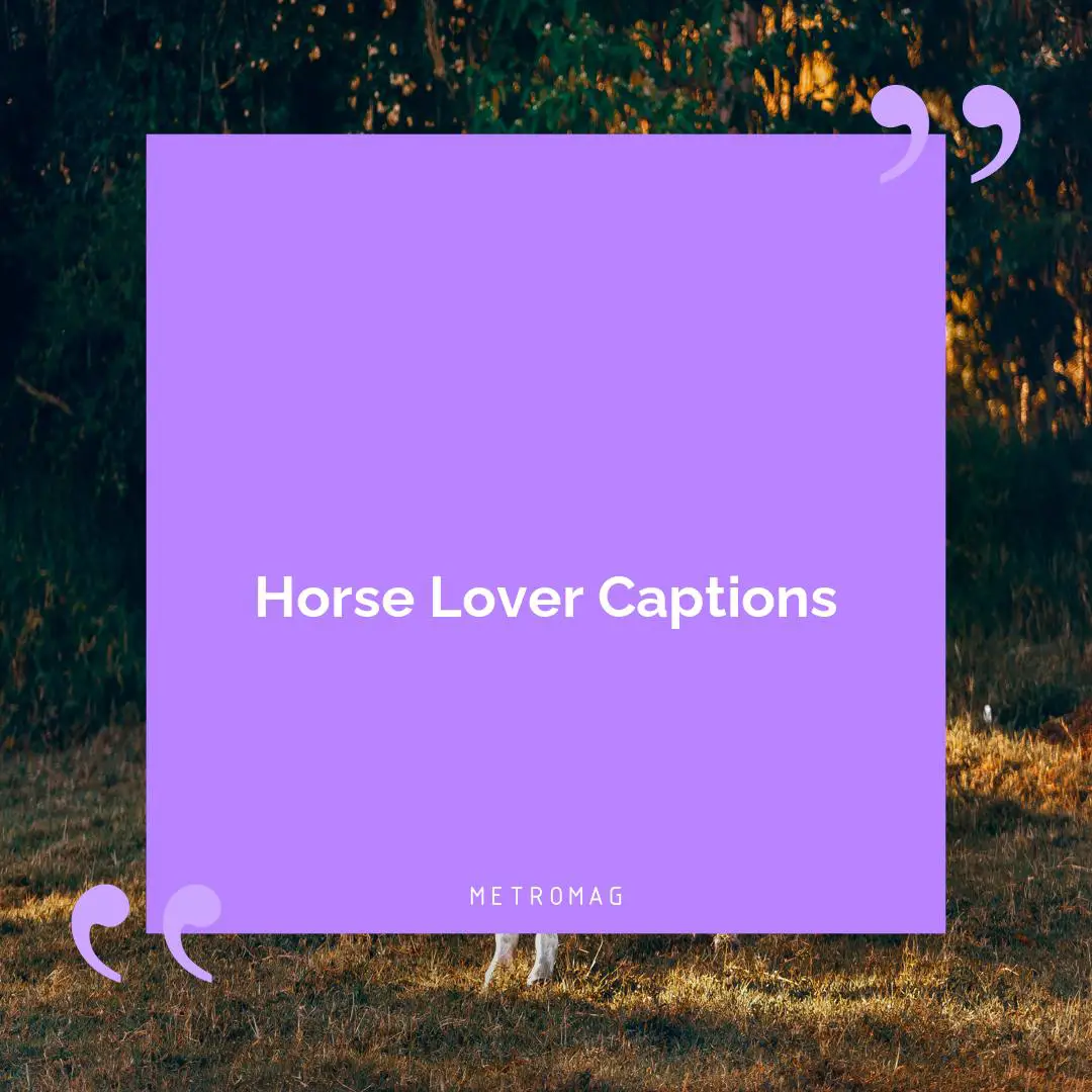 Horse Lover Captions