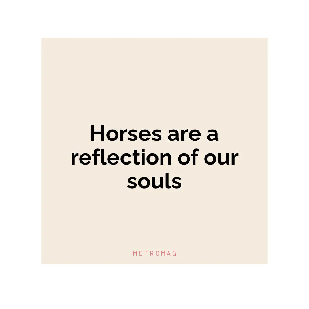 Horses are a reflection of our souls