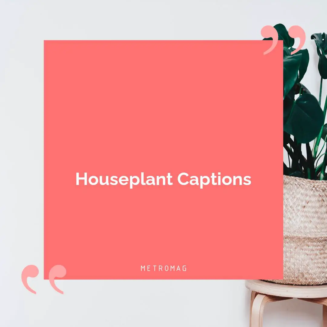 Houseplant Captions