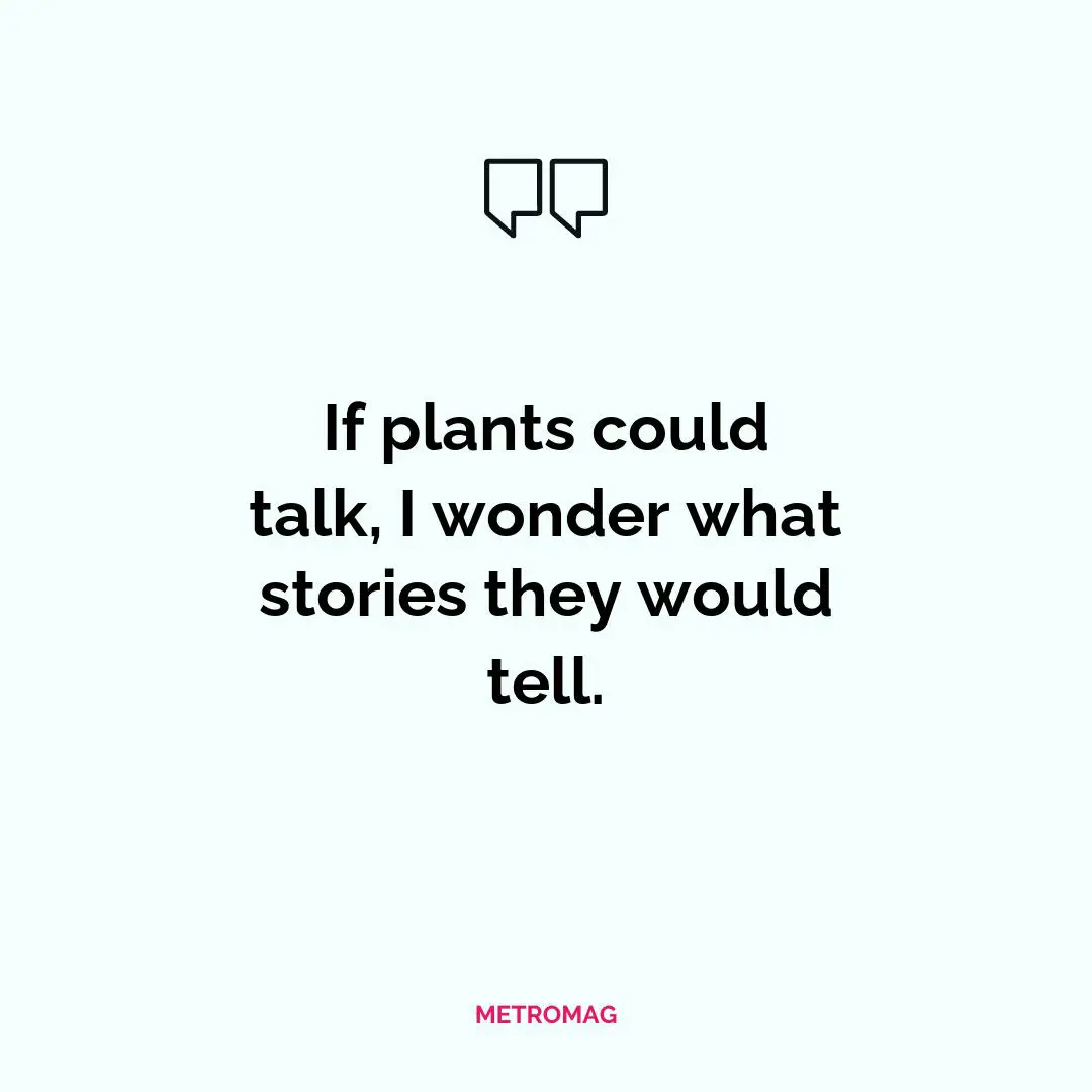 If plants could talk, I wonder what stories they would tell.