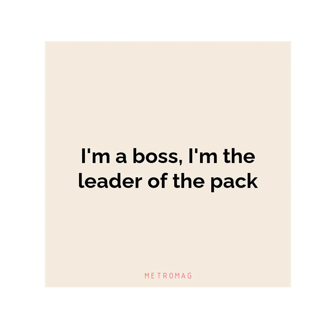 I'm a boss, I'm the leader of the pack
