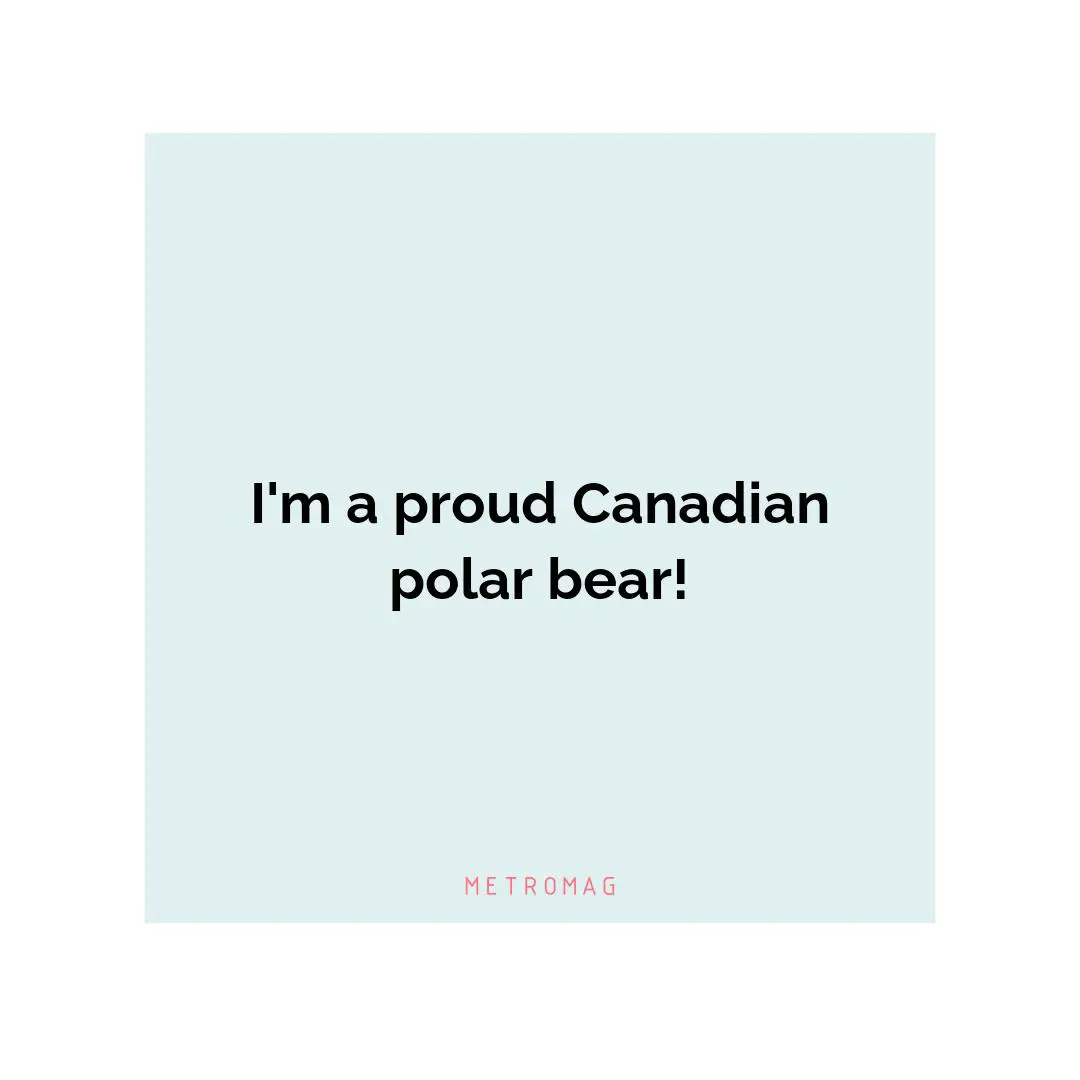 I'm a proud Canadian polar bear!