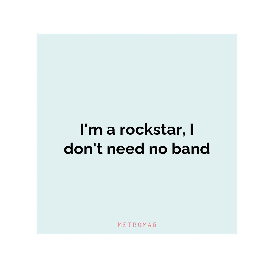 I'm a rockstar, I don't need no band