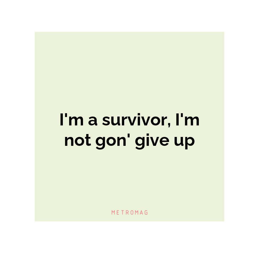 I'm a survivor, I'm not gon' give up