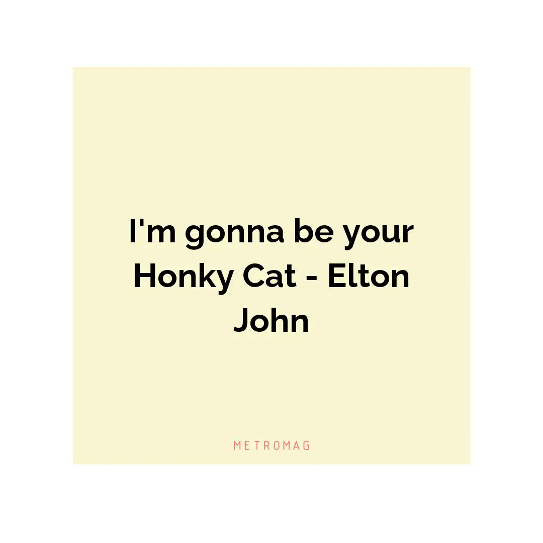 I'm gonna be your Honky Cat - Elton John