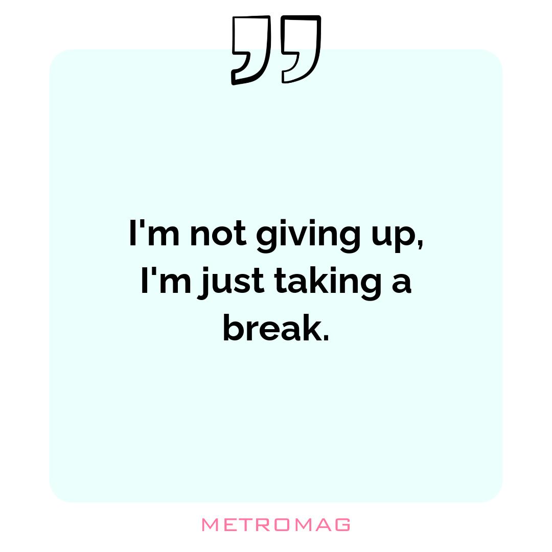 I'm not giving up, I'm just taking a break.