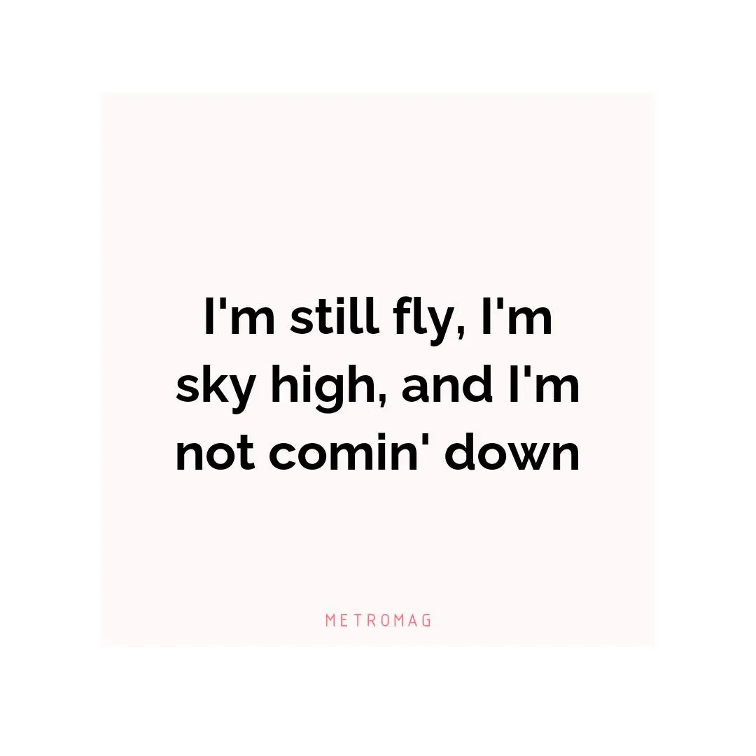I'm still fly, I'm sky high, and I'm not comin' down
