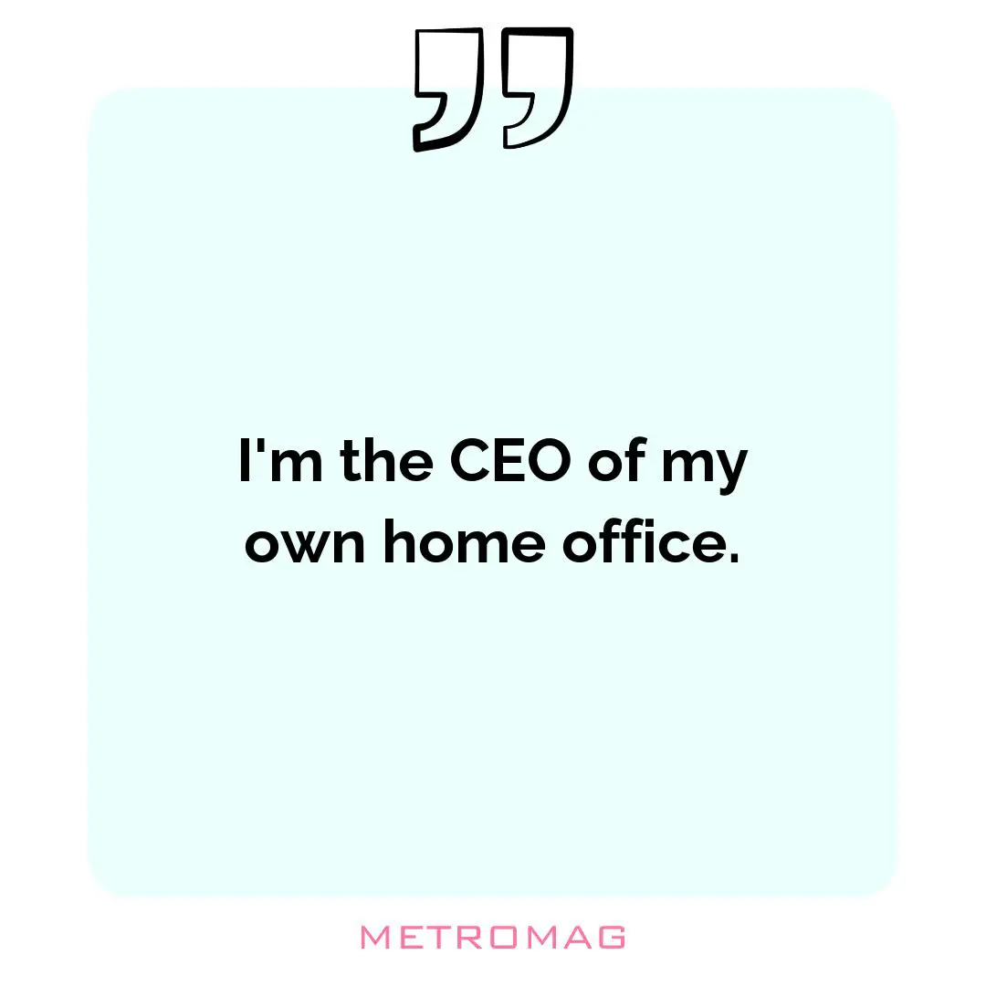 I'm the CEO of my own home office.