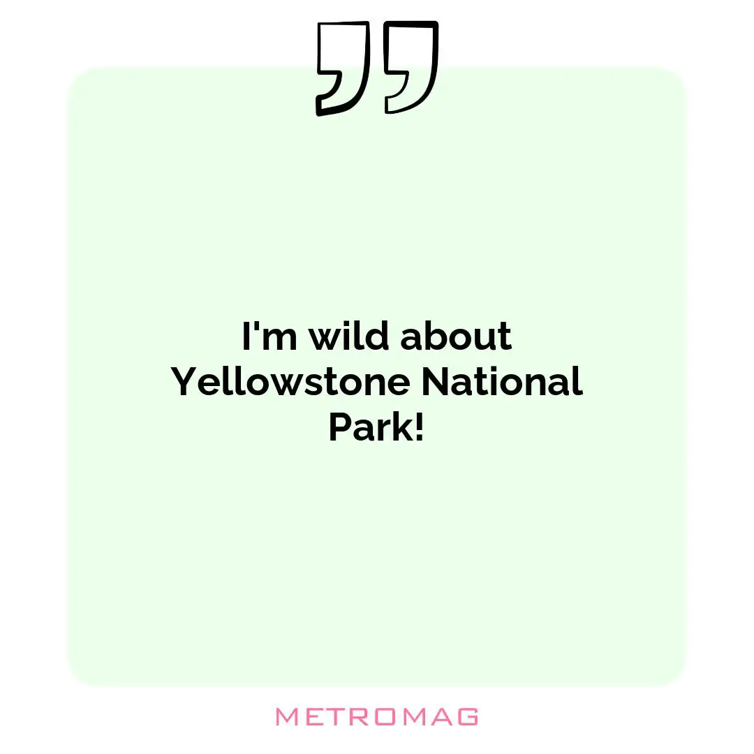 I'm wild about Yellowstone National Park!