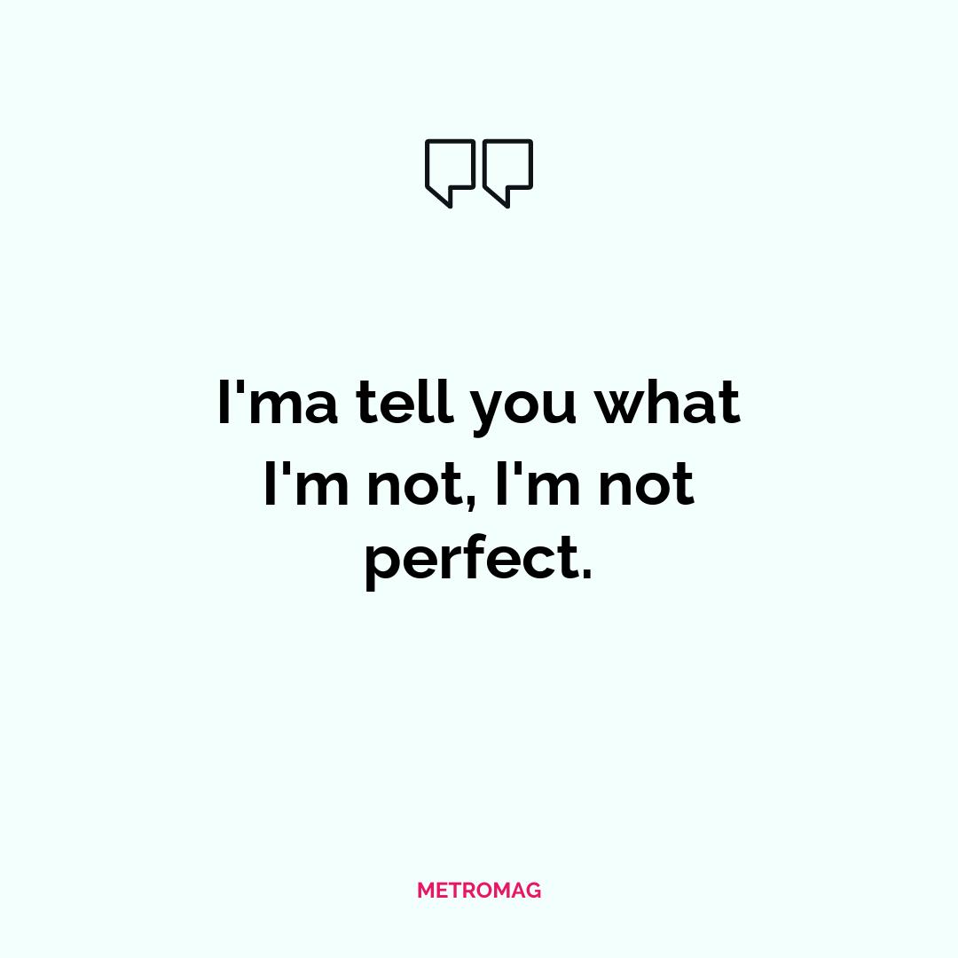 I'ma tell you what I'm not, I'm not perfect.