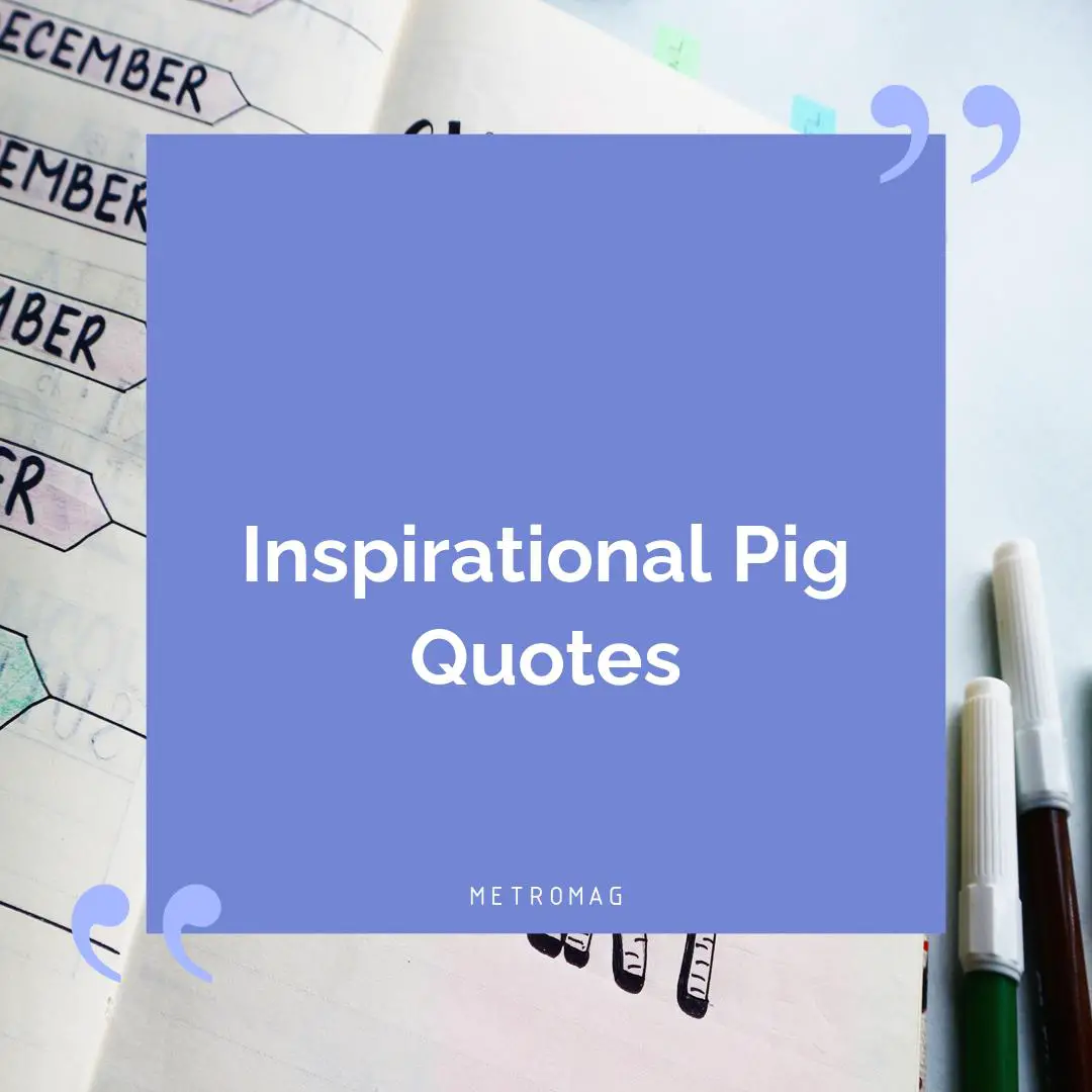 Inspirational Pig Quotes
