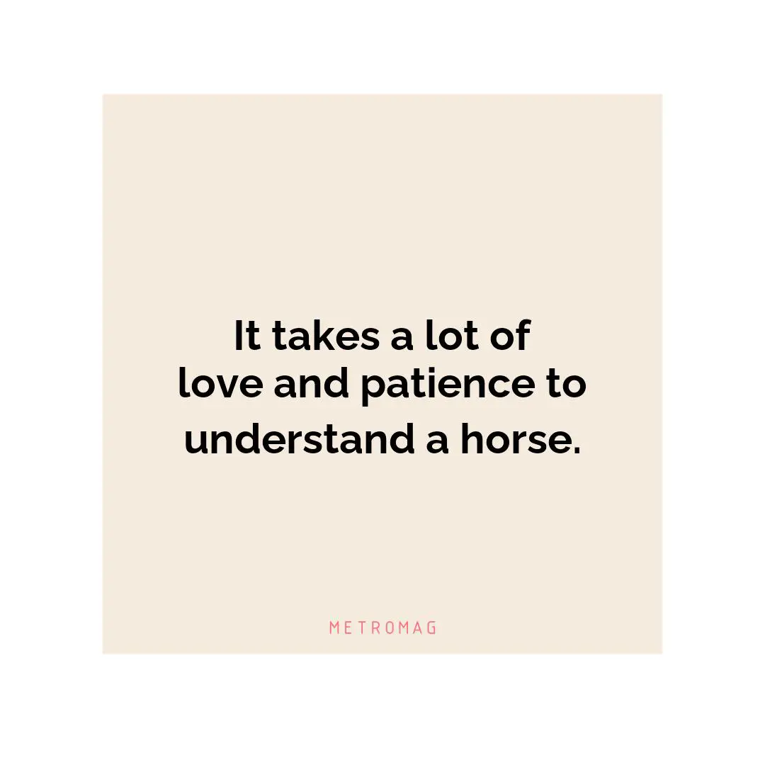 It takes a lot of love and patience to understand a horse.