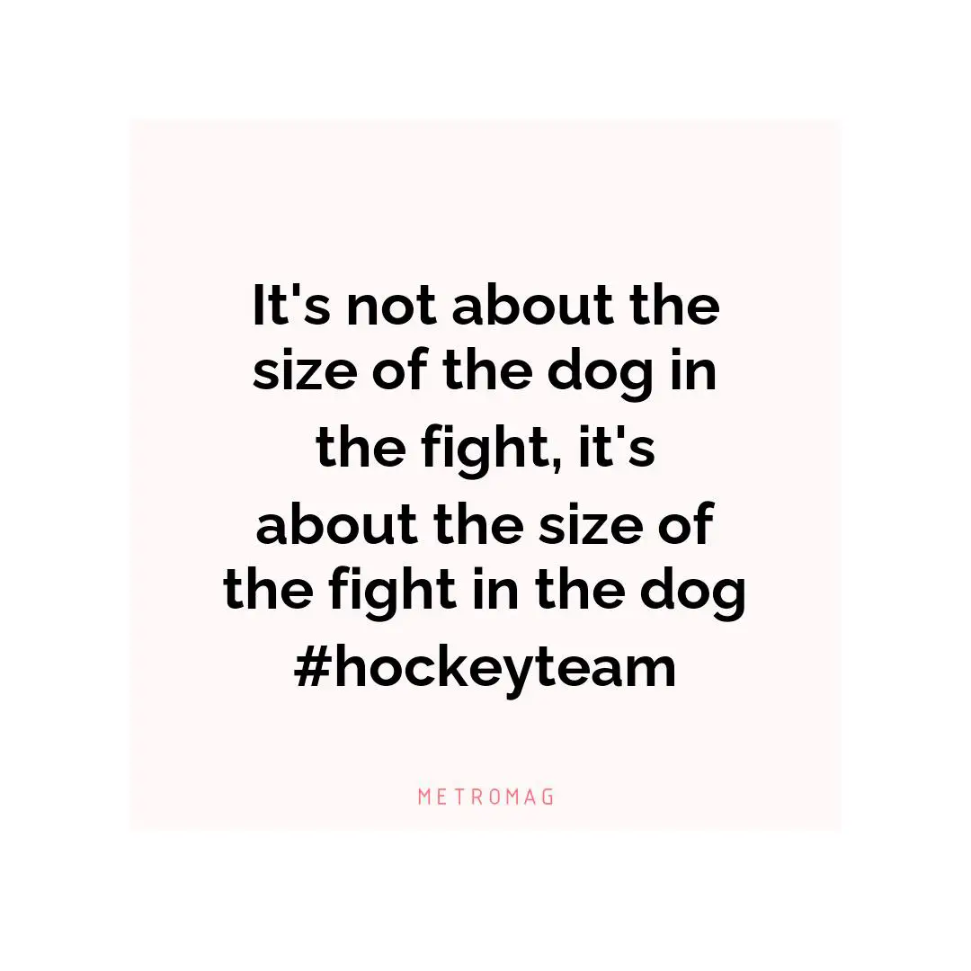 It's not about the size of the dog in the fight, it's about the size of the fight in the dog #hockeyteam