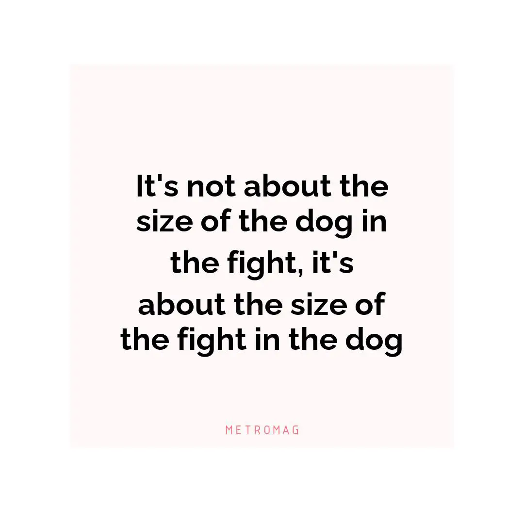 It's not about the size of the dog in the fight, it's about the size of the fight in the dog