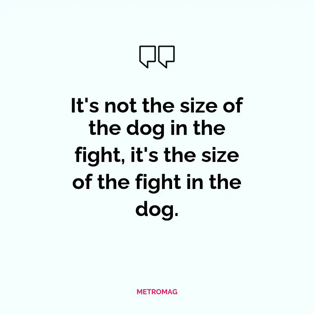 It's not the size of the dog in the fight, it's the size of the fight in the dog.