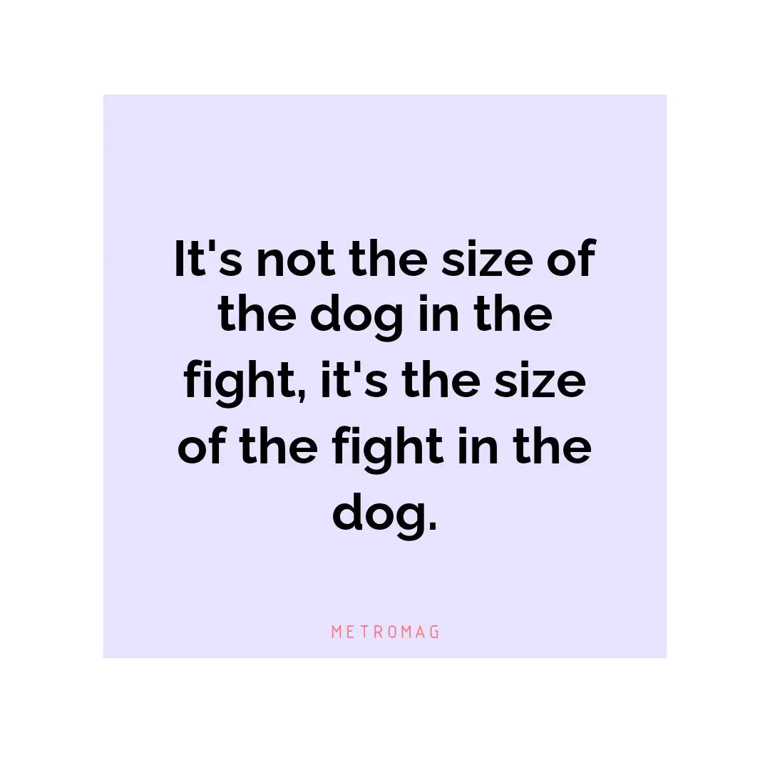 It's not the size of the dog in the fight, it's the size of the fight in the dog.