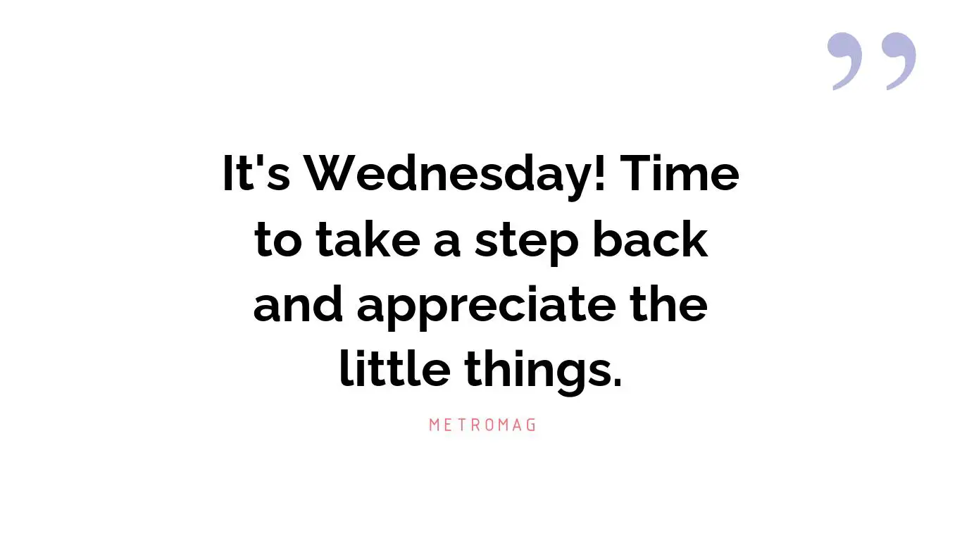 It's Wednesday! Time to take a step back and appreciate the little things.
