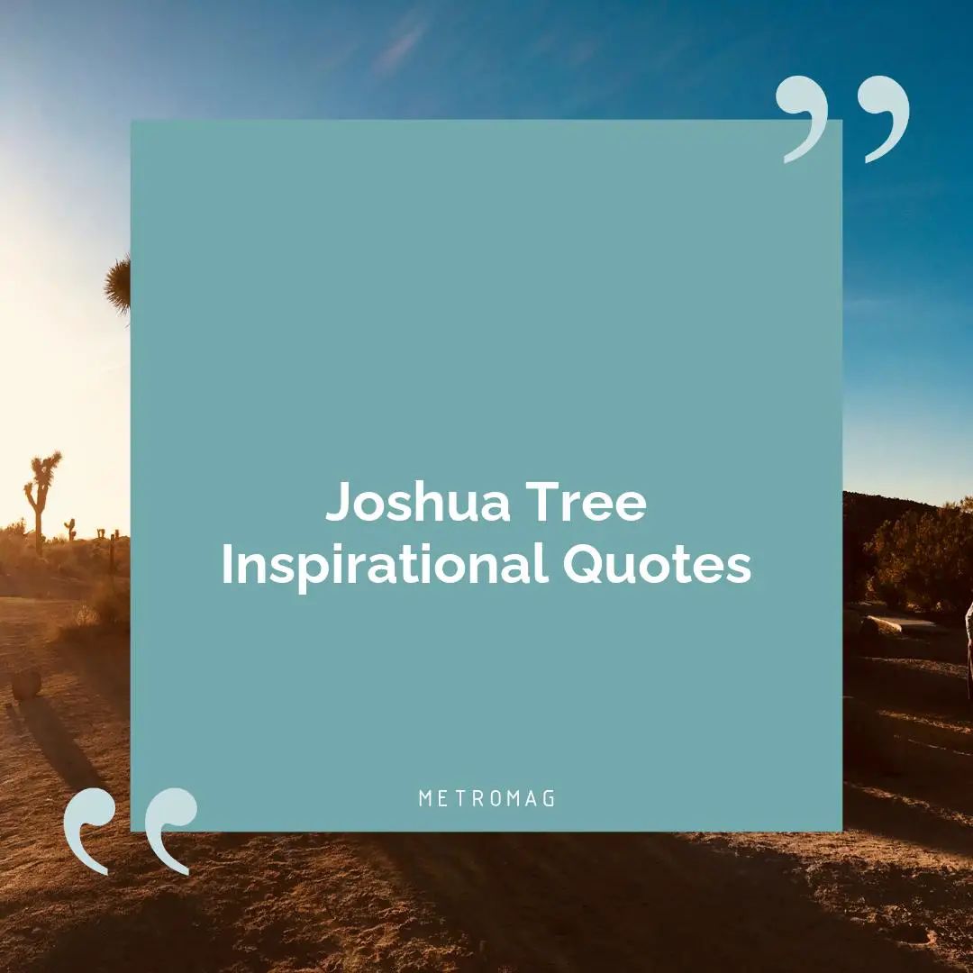 Joshua Tree Inspirational Quotes